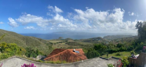 Ti Panoramik